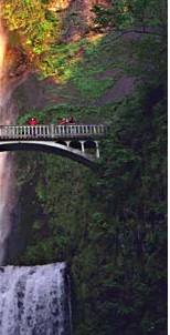 Multnomah Falls Lodge is nearby and has great salmon dinners