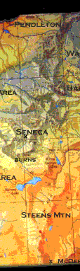 This section contains Oregon's coldest town (Seneca), and the magnificent Steens
Mountain, and in the north the fertile zone around Pendleton and Umatilla