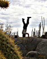 Baja desert warmth in early February causes joyful headstand on Scott Nelson motorcycle tours