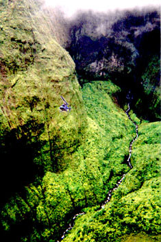 Daring helicopter tour into Kauai's Mt. Waialeale