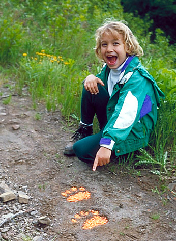 Large cougar tracks
recently made in the Table Rocks Wilderness area, actually near Molalla, Oregon