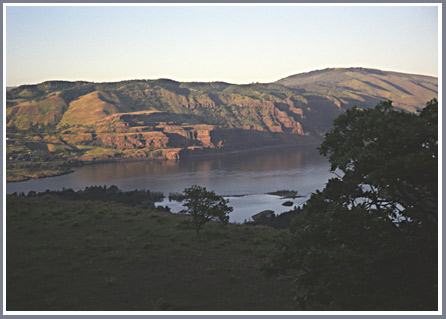 Right across the River is Lyle, Washington and below
our feet on the Oregon side is I-84 freeway-- a few miles east of here a few years ago, a Wolverine was
killed while crossing the freeway, and its carcass provided the first documented wolverine in 
Oregon in several decades