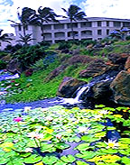 Embassy Resort at Poipu Beach, Kaua'i, Hawaii