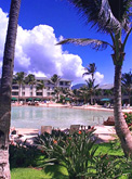 Embassy Poipu Pool with palm trees and Hoary Head beyond