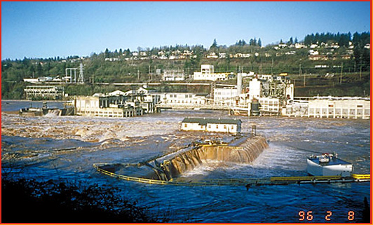 the Willamette Falls
can be turned into a dangerous, chaotic rush of whitewater during the rare
flood events such as in 1996