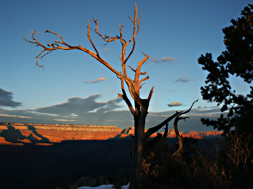 Mather Point on Grand Canyon South Rim is a heavily used area but in winter the snow lies deep and the chilling winds often whistle