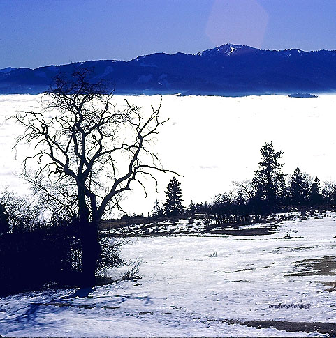 Mount Ashland Ski Area and the Rogue River Valley in Southern Oregon show oaks, fog and snow