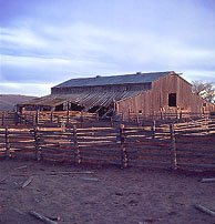 Lonely Cold barn with an aching wind ripping through its ribs