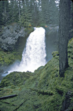 another rainy, misty Oregon place, Sahale Falls in the Willamette 
National Forest.
