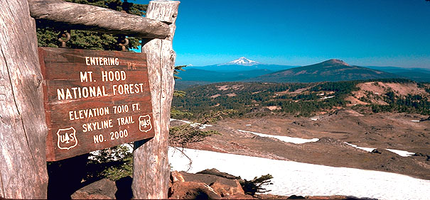 Park Butte Crossing is one of the most awesome and most snow-choked of the 7000 ft-plus PCT trail segments in Oregon