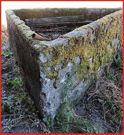 City of Canby City Hall
watering trough circa 1900 now lives beside the historic Gribble Barn just off the Canby-Marquam Highway
route 170 about five miles south of Canby