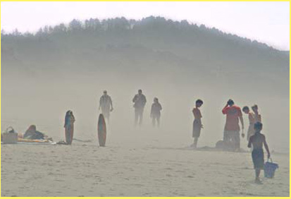 Oregon Coastal mists and fogs at Beverly Beach Park